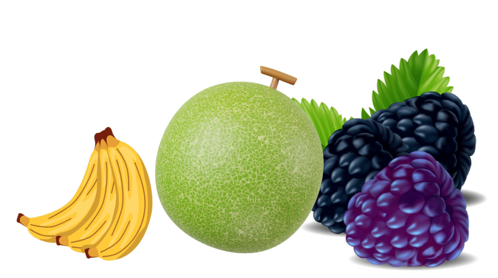 Opt for fresh frozen or canned fruits